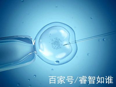 主任